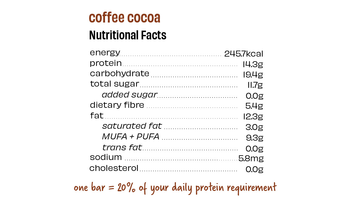 Coffee Cocoa Protein Bars - Box of 8 - Image 4