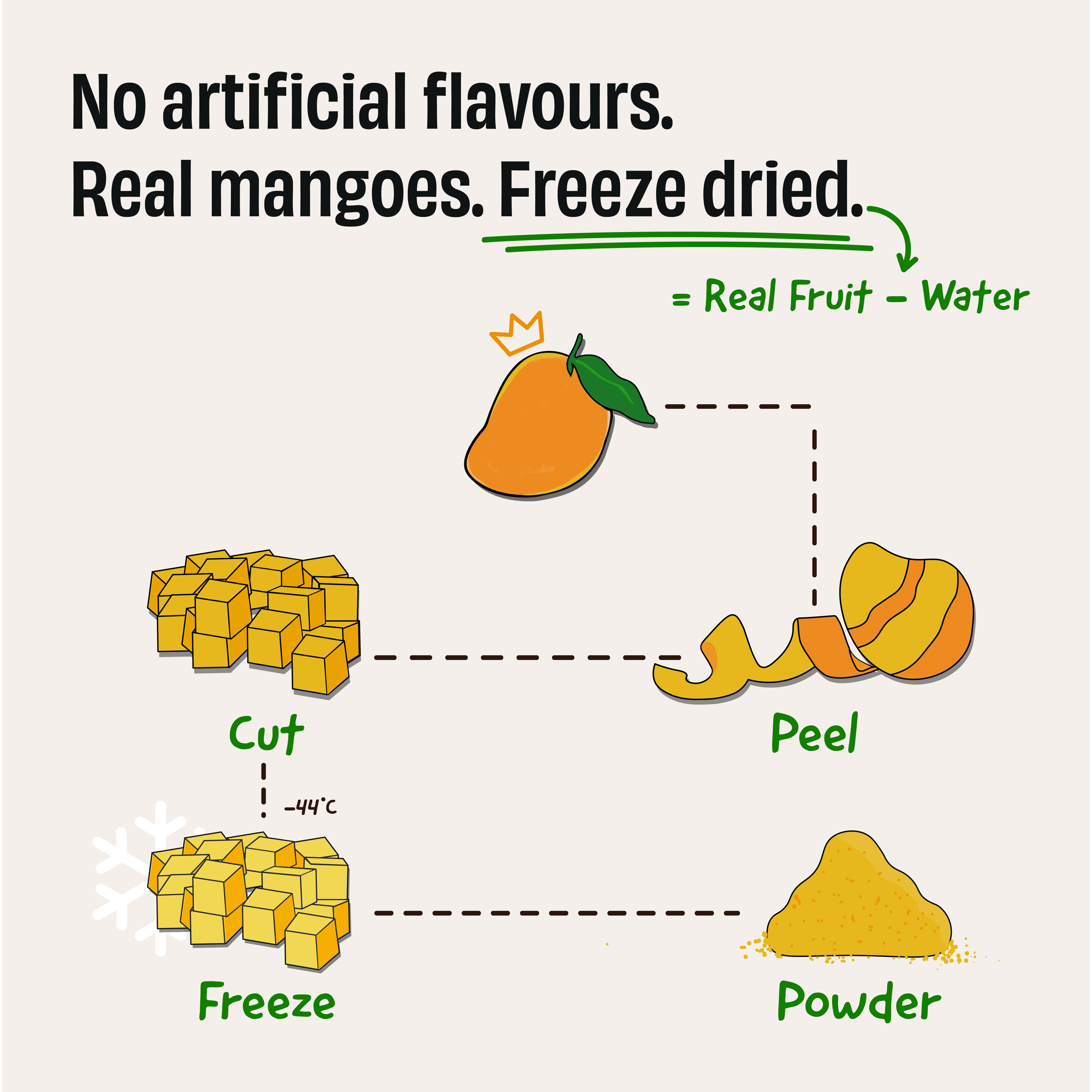 Mango Milkshake 24 g Protein Powder - Image 5