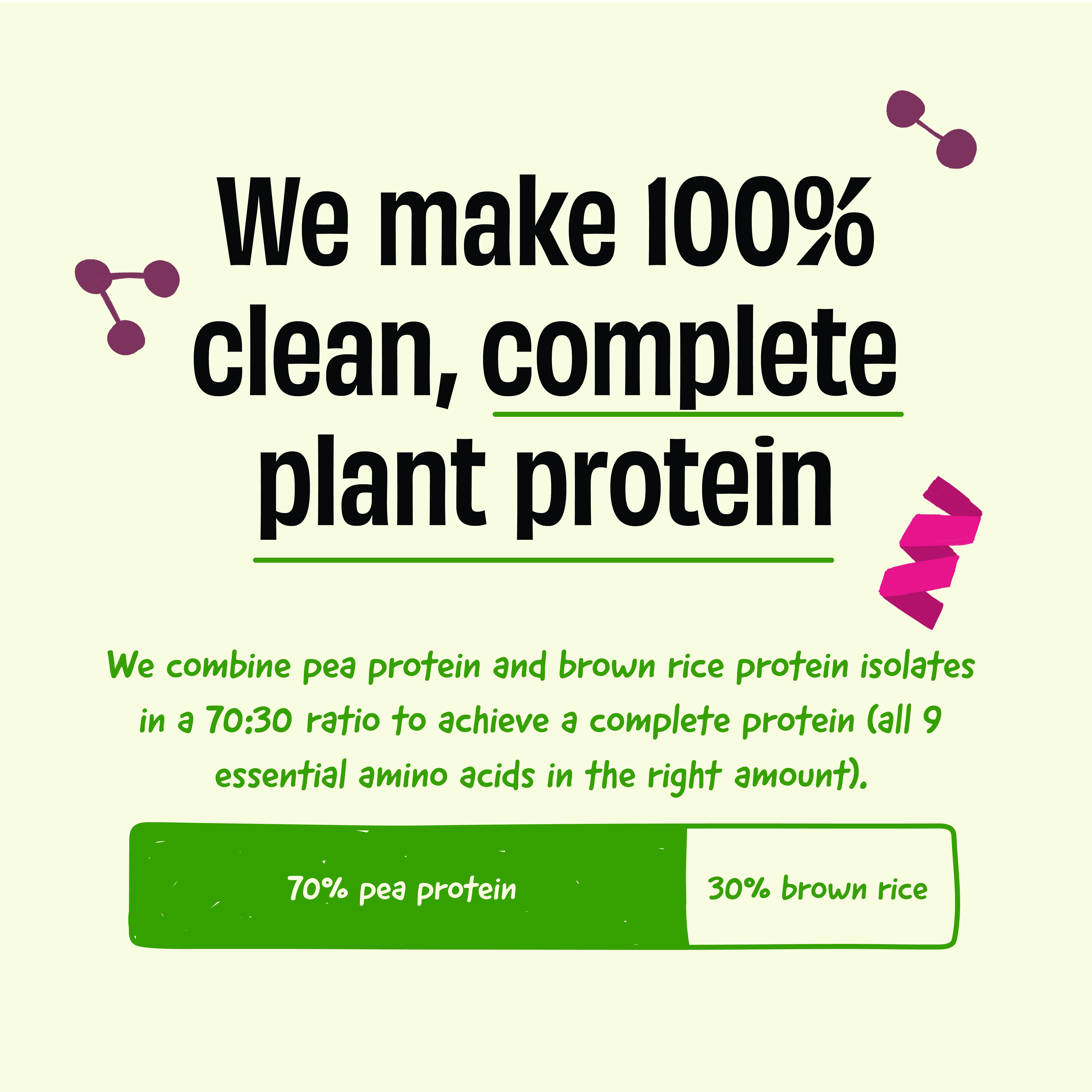 Plant Protein - Image 12
