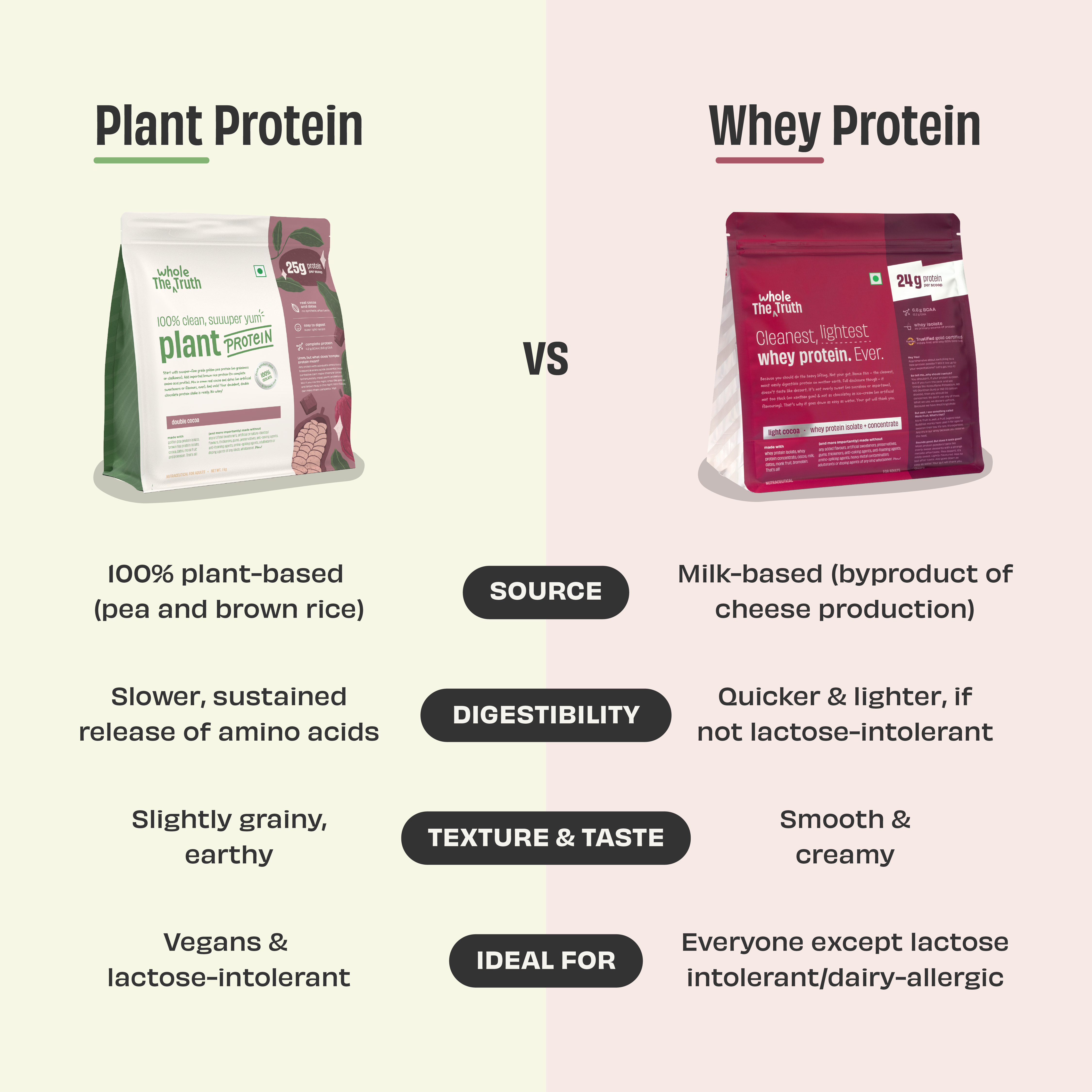 Plant Protein - Image 3