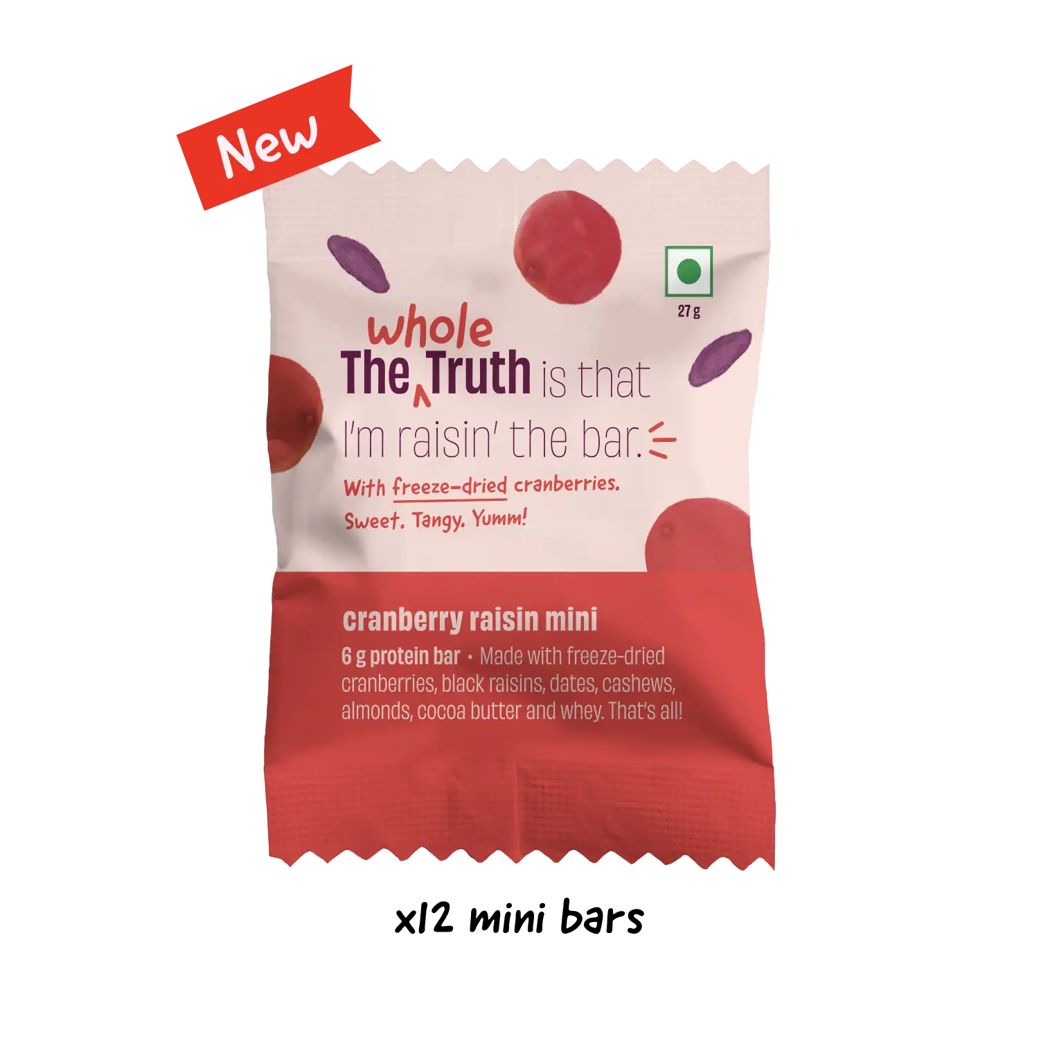 The Whole Truth Cranberry Raisin Mini Protein Bars – Box of 8