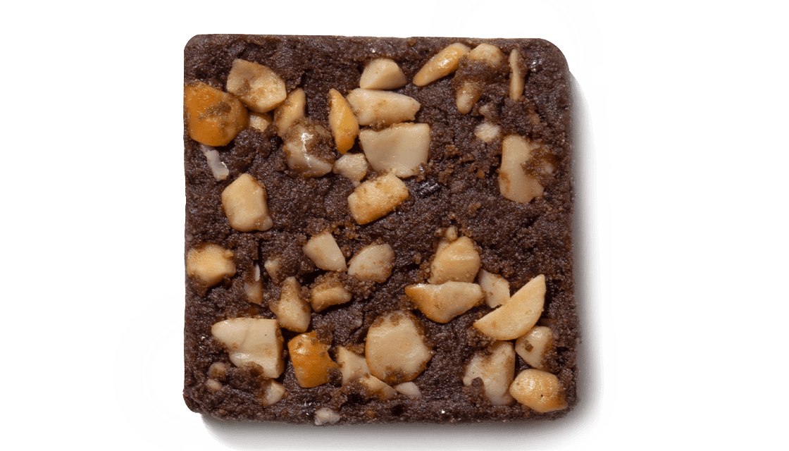 Peanut Cocoa Mini Protein Bars - Box of 12 - Image 2