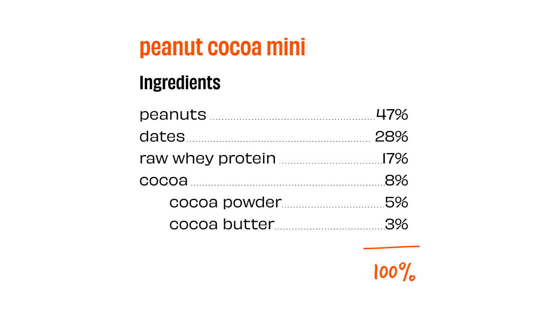 Peanut Cocoa Mini Protein Bars - Box of 12 - Image 4