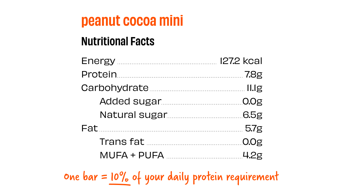 Peanut Cocoa Mini Protein Bars - Box of 12 - Image 5