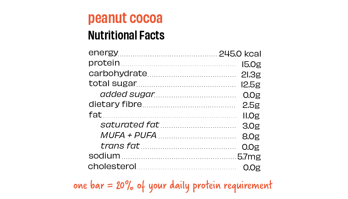 Peanut Cocoa Protein Bars - Box of 8 - Thumbnail 4
