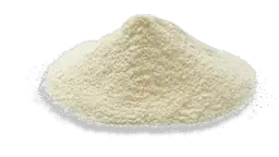 Whole Milk Powder