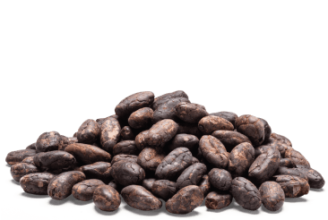 Cocoa