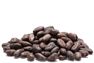 Cocoa