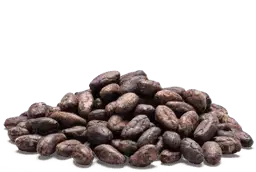 Cocoa