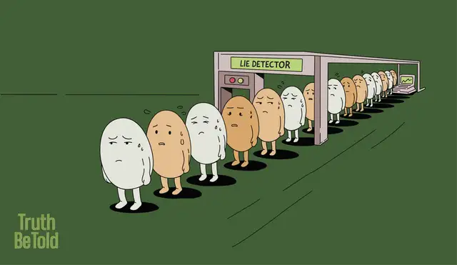 What the Eggoz Controversy Actually Tells Us About Eggs in India